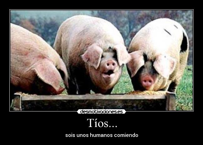 Tíos... - sois unos humanos comiendo
