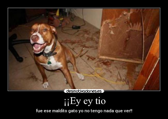 carteles desmotivaciones