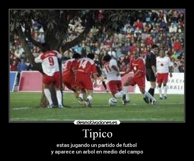 Tipico - estas jugando un partido de futbol
y aparece un arbol en medio del campo