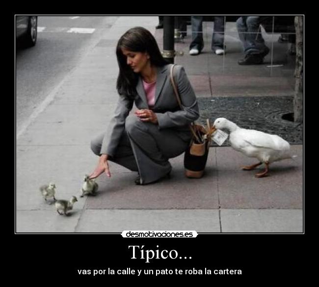 Típico... -