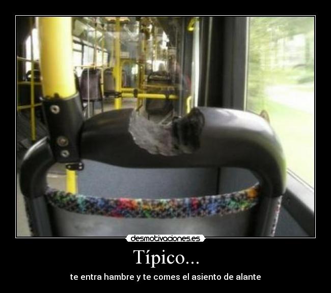 Típico... - te entra hambre y te comes el asiento de alante