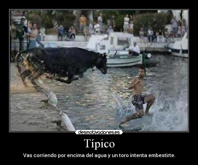 Típico - Vas corriendo por encima del agua y un toro intenta embestirte.