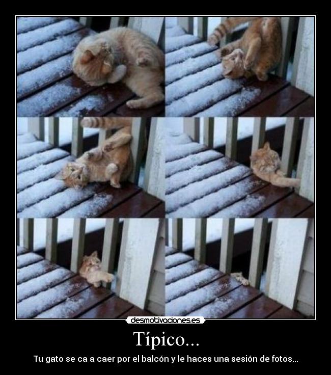 Típico... - 