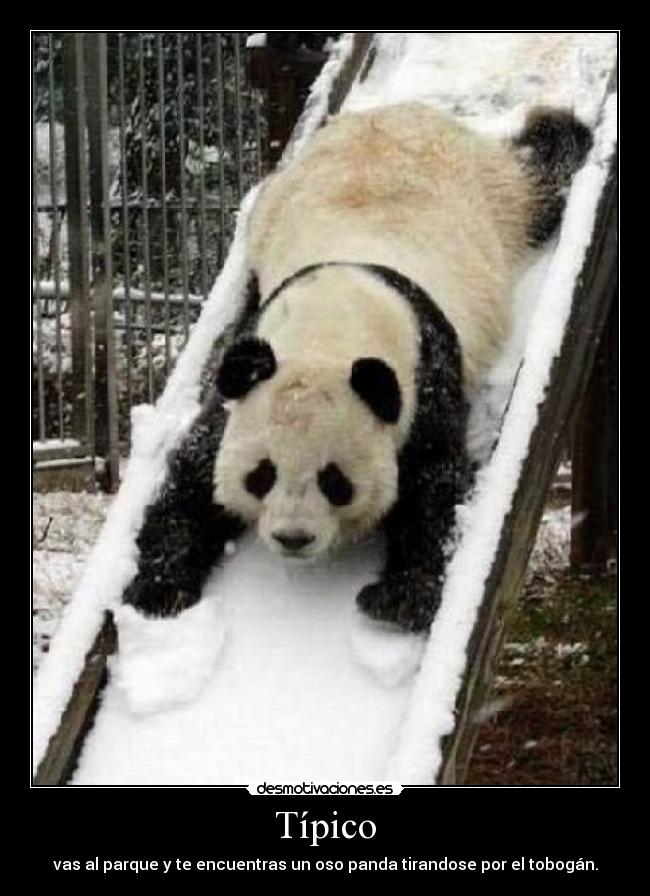 Típico - vas al parque y te encuentras un oso panda tirandose por el tobogán.