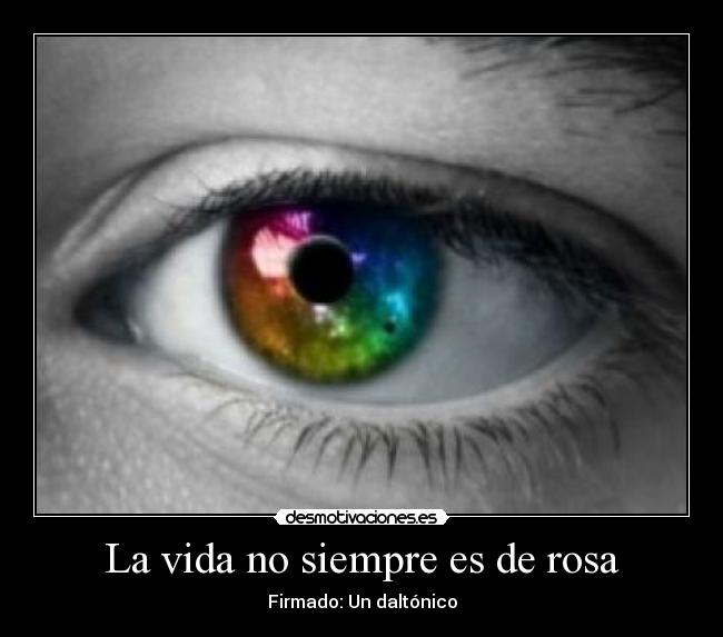 La vida no siempre es de rosa -