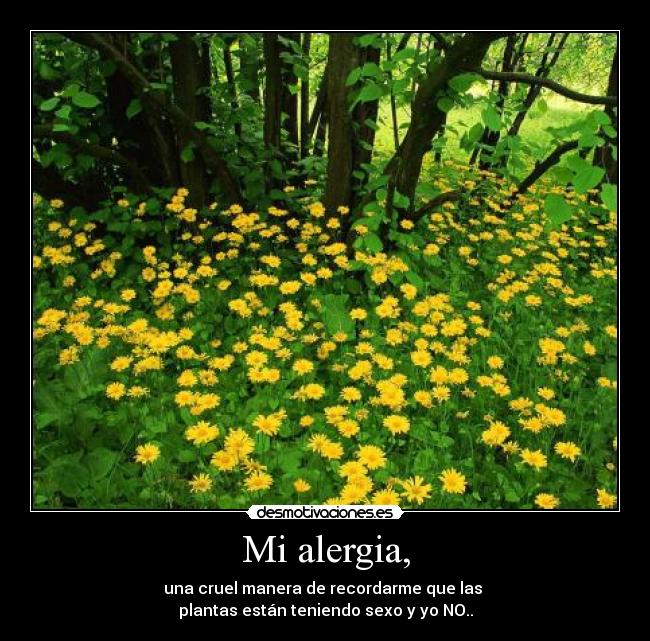 Mi alergia, -