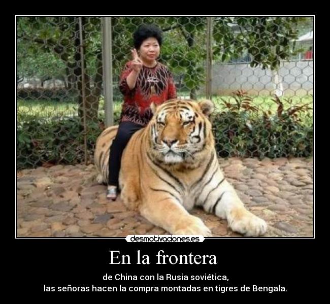 En la frontera  - de China con la Rusia soviética,
las señoras hacen la compra montadas en tigres de Bengala.