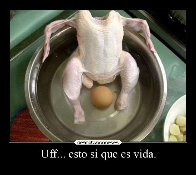 Uff... esto si que es vida. -