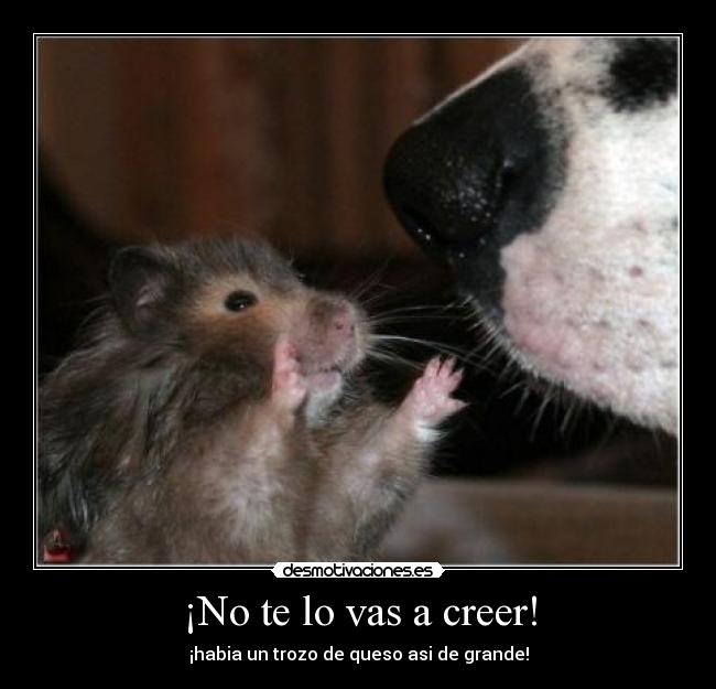 ¡No te lo vas a creer! - 