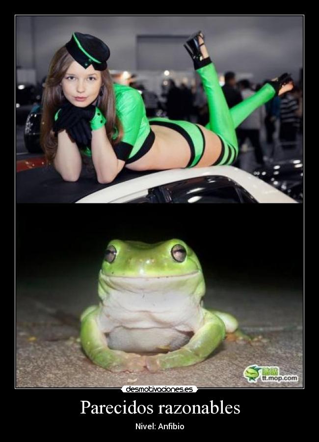 Parecidos razonables - 