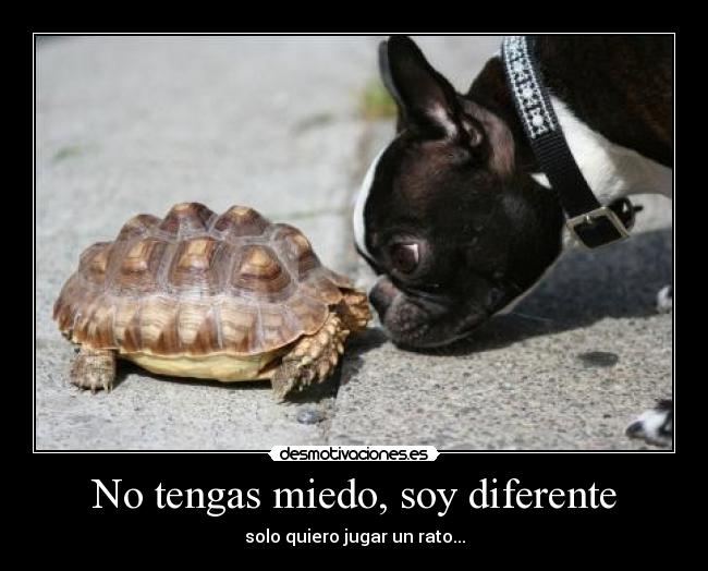 No tengas miedo, soy diferente - solo quiero jugar un rato...