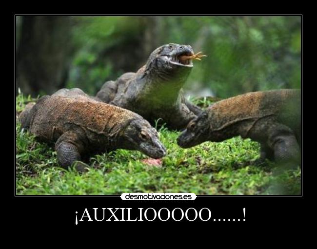 ¡AUXILIOOOOO......! - 