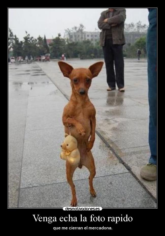 Venga echa la foto rapido -