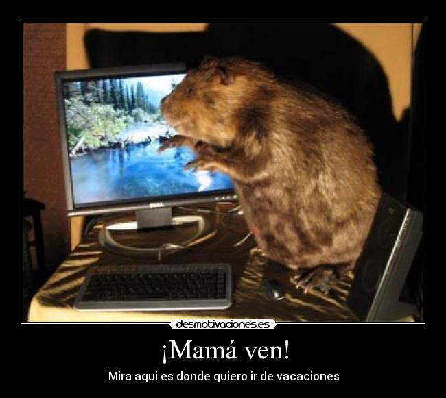 ¡Mamá ven! -
