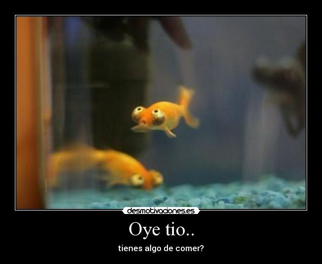 Oye tio.. - 