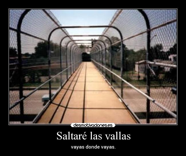 Saltaré las vallas - vayas donde vayas.