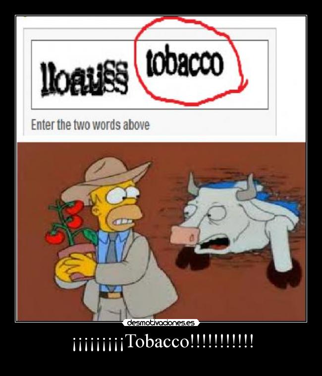 ¡¡¡¡¡¡¡¡¡Tobacco!!!!!!!!!!! -