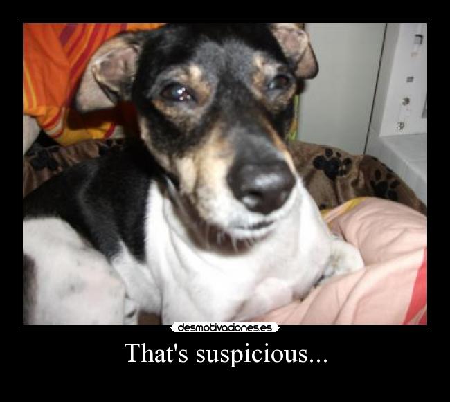 Thats suspicious... -