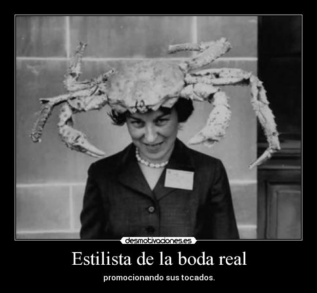 Estilista de la boda real - promocionando sus tocados.