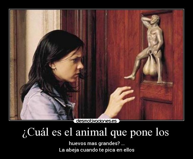 carteles cual desmotivaciones