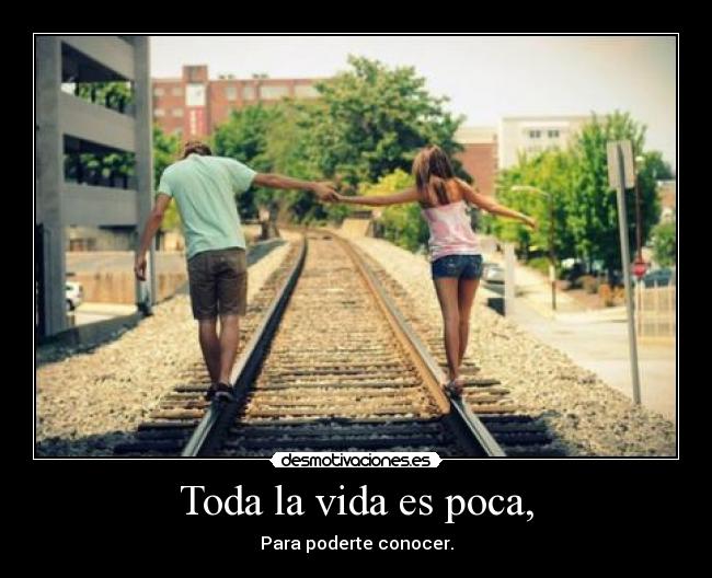 carteles vida toda vida poca para poderte conocer desmotivaciones