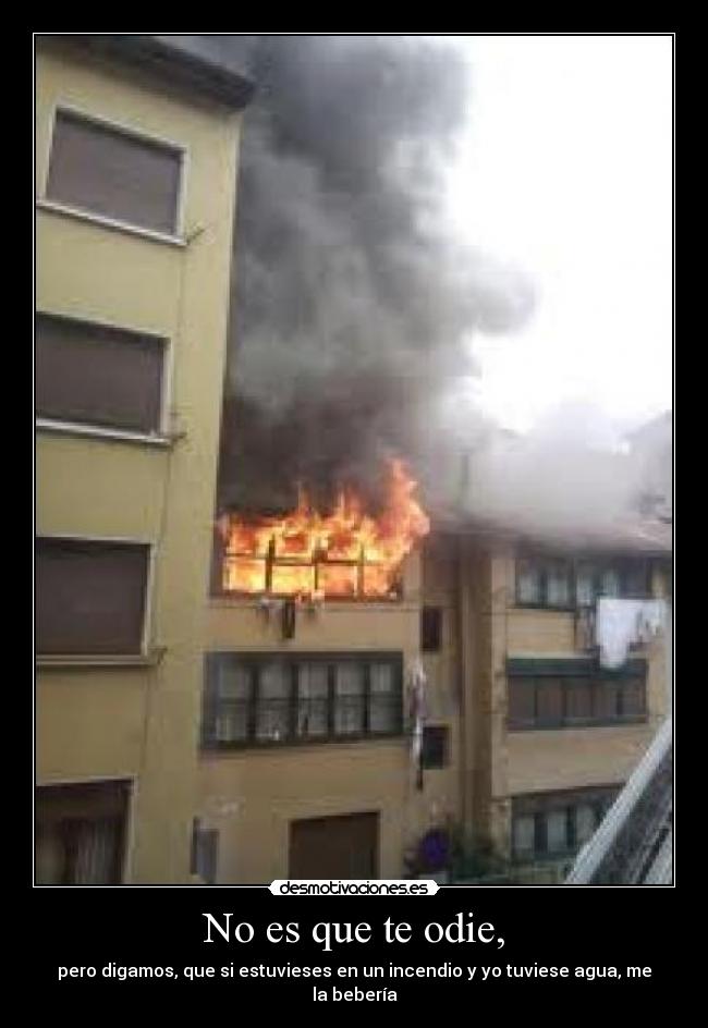 No es que te odie, - pero digamos, que si estuvieses en un incendio y yo tuviese agua, me la bebería