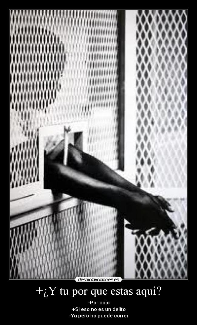 +¿Y tu por que estas aqui? - -Por cojo
+Si eso no es un delíto
-Ya pero no puede correr