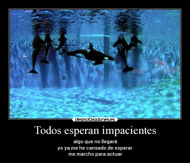 Todos esperan impacientes -