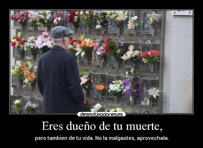 Eres dueño de tu muerte, - pero tambien de tu vida. No la malgastes, aprovechala.
