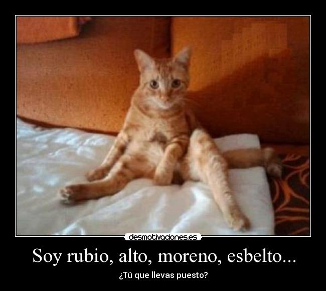 Soy rubio, alto, moreno, esbelto... - 