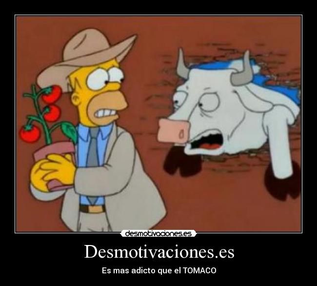 Desmotivaciones.es - 
