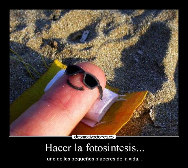 carteles fotosintesis desmotivaciones