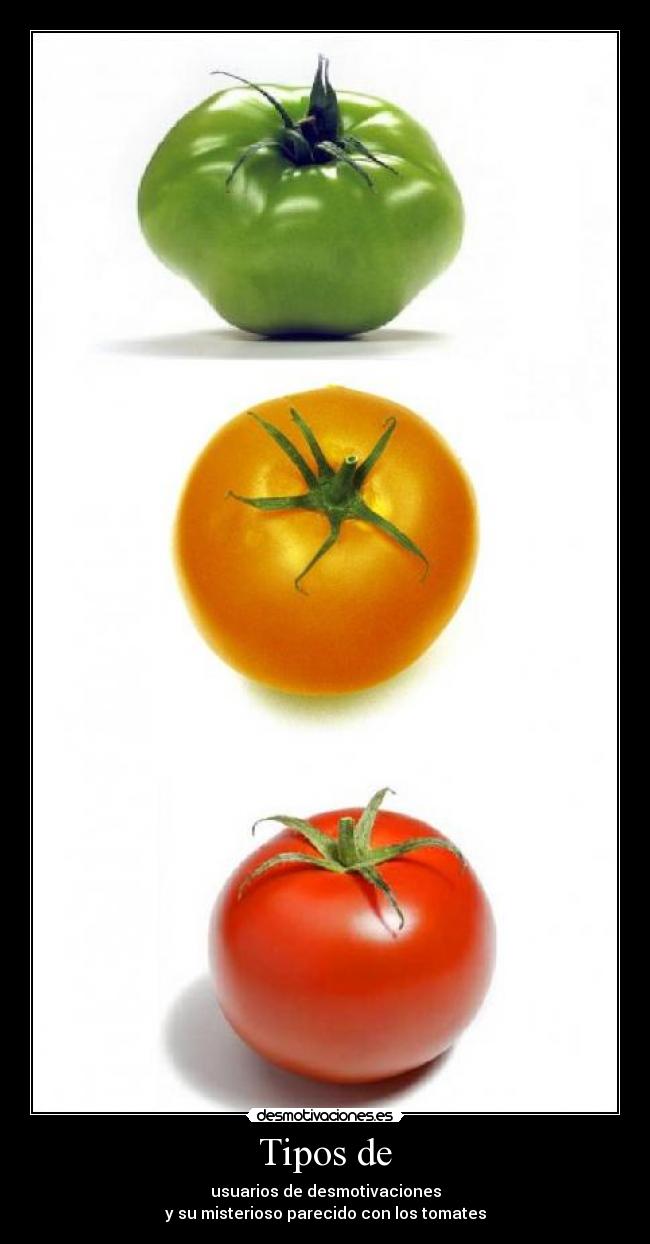 Tipos de - usuarios de desmotivaciones
y su misterioso parecido con los tomates