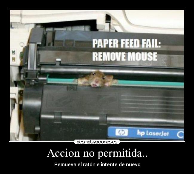 Accion no permitida.. - Remueva el ratón e intente de nuevo