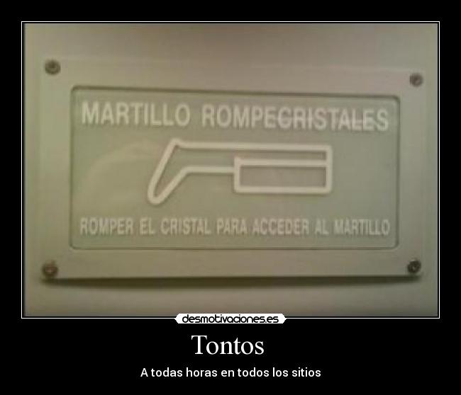 Tontos  - A todas horas en todos los sitios