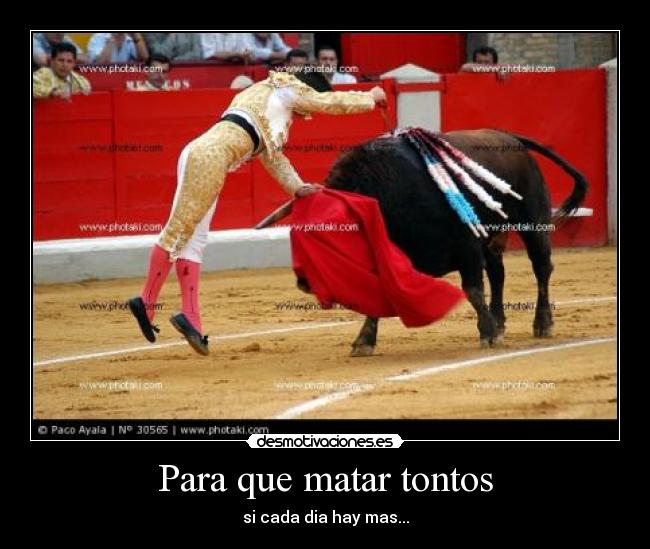 Para que matar tontos - si cada dia hay mas...