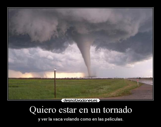 Quiero estar en un tornado - y ver la vaca volando como en las peliculas.