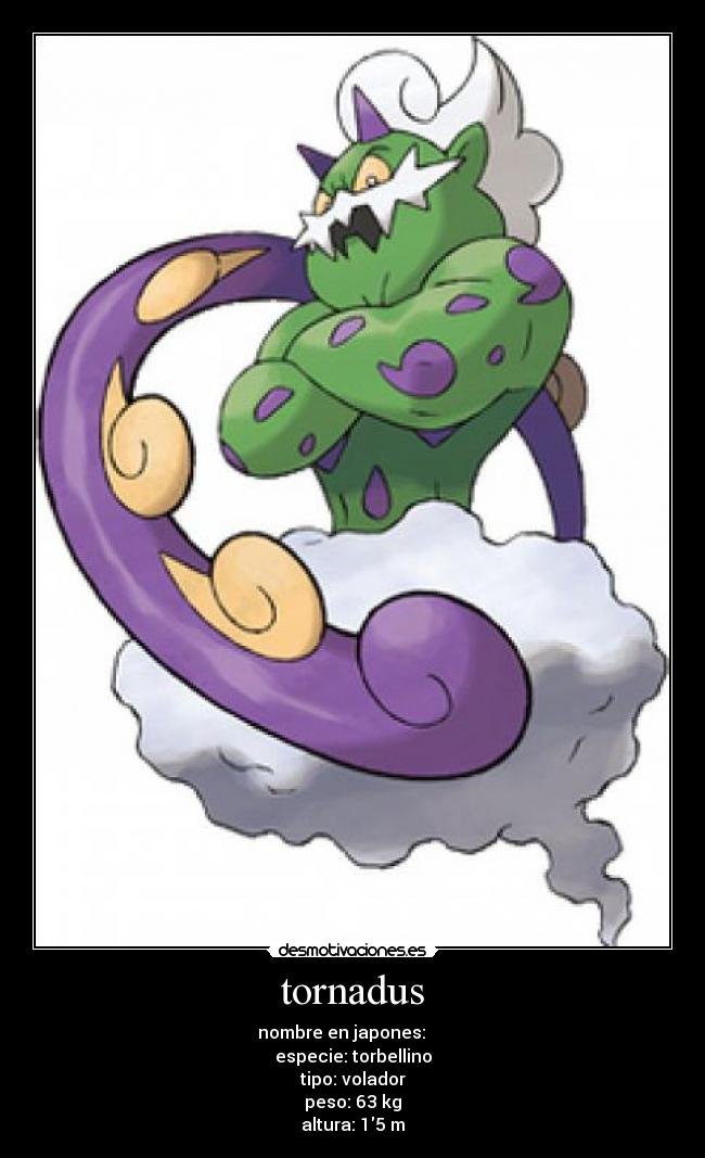 tornadus - nombre en japones: トルネロス
especie: torbellino
tipo: volador
peso: 63 kg
altura: 15 m