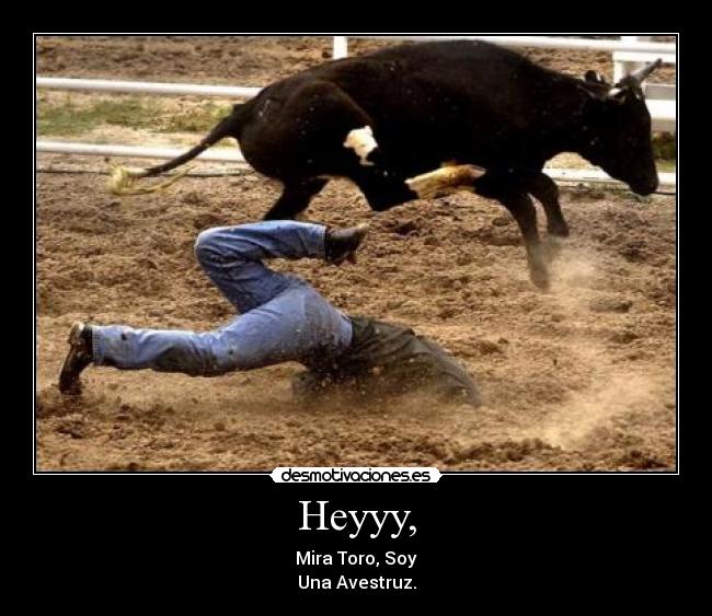 Heyyy, - Mira Toro, Soy
Una Avestruz.
