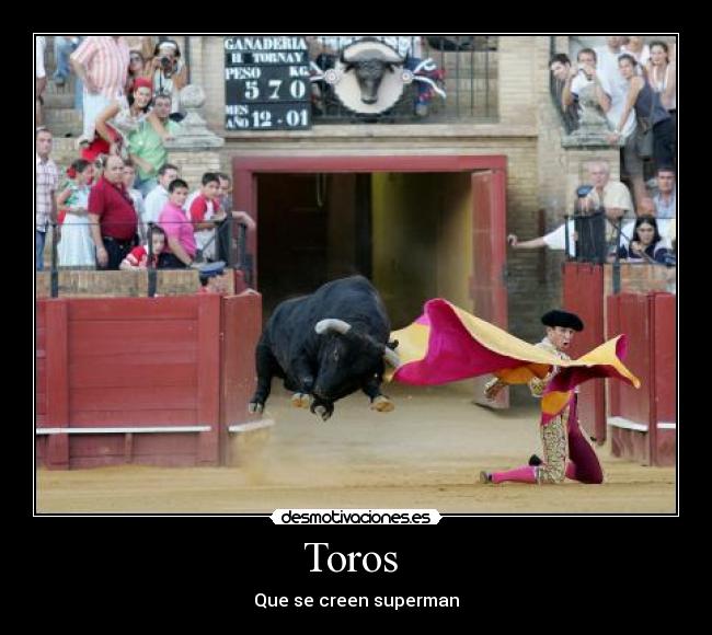 Toros  - Que se creen superman