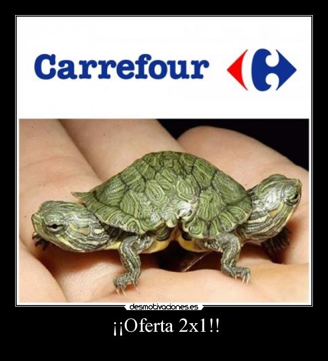 ¡¡Oferta 2x1!! - 