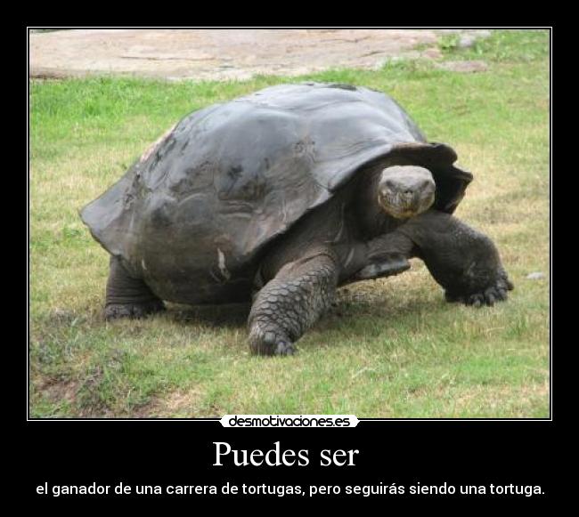 Puedes ser  - el ganador de una carrera de tortugas, pero seguirás siendo una tortuga.