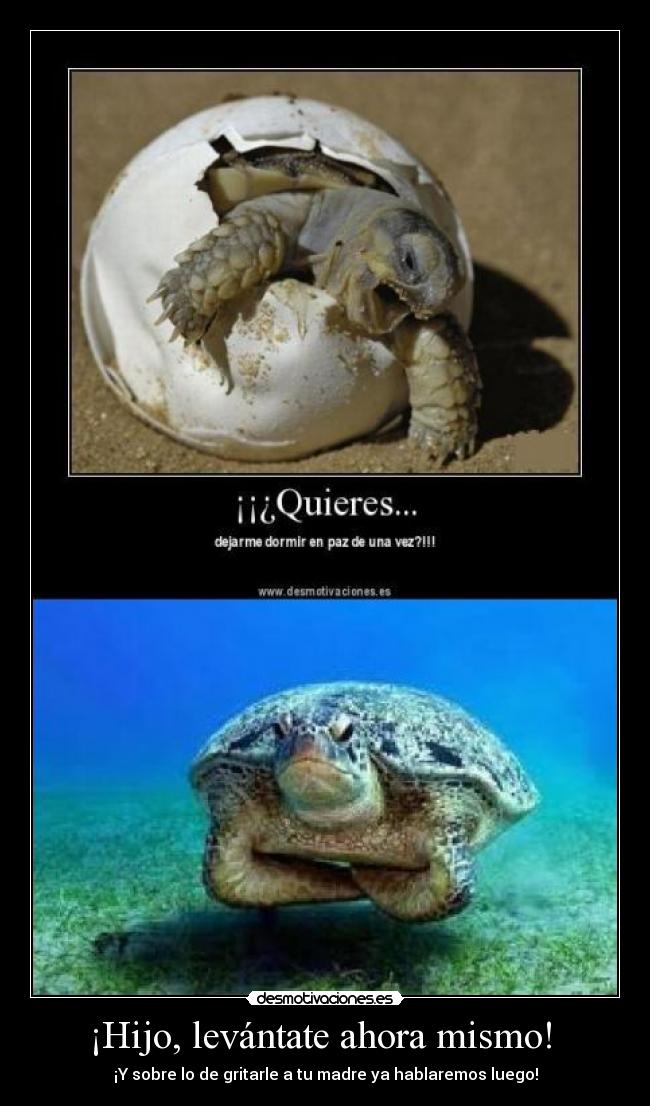 ¡Hijo, levántate ahora mismo!  - 