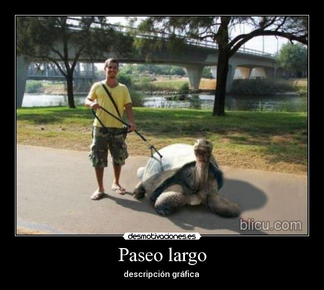 Paseo largo -