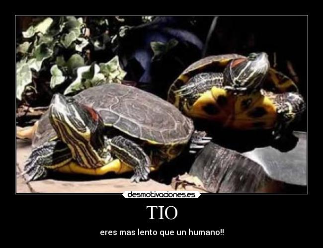 TIO - eres mas lento que un humano!!