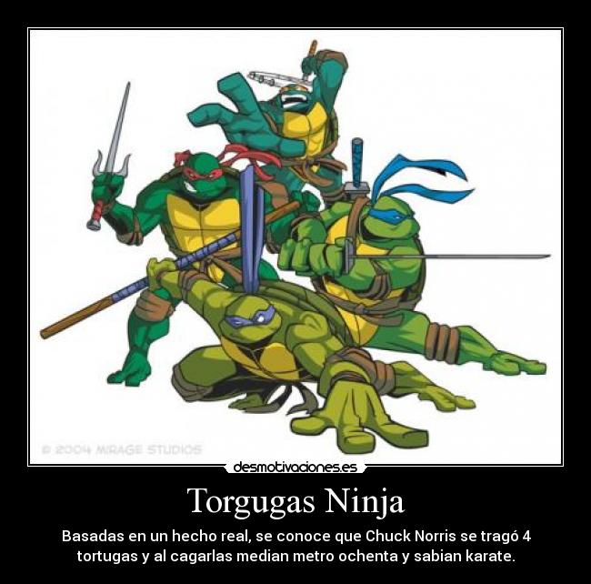 Torgugas Ninja - Basadas en un hecho real, se conoce que Chuck Norris se tragó 4
tortugas y al cagarlas median metro ochenta y sabian karate.