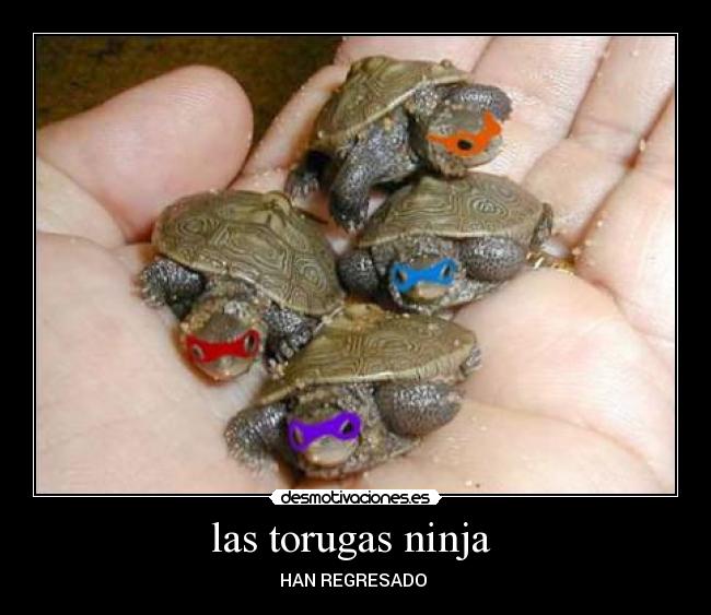 las torugas ninja  - HAN REGRESADO 