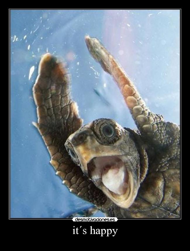 it´s happy -