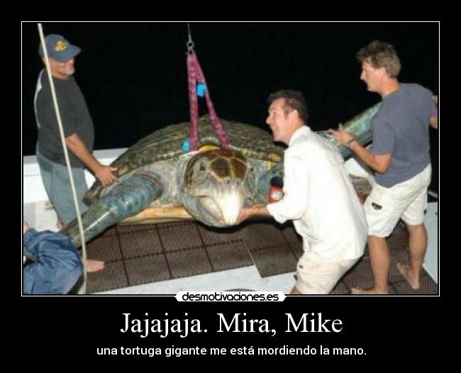 Jajajaja. Mira, Mike -