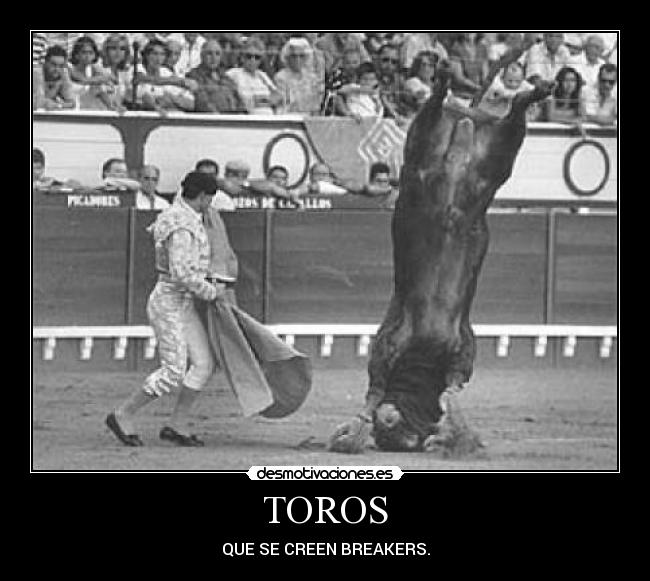 TOROS -